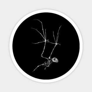 Bat Skeleton Magnet